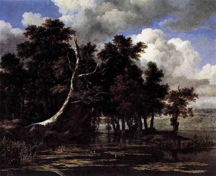 Jacob Isaacksz. van Ruisdael Oaks by a Lake with Waterlilies France oil painting art